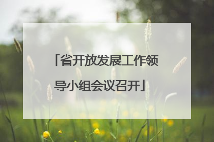 省开放发展工作领导小组会议召开