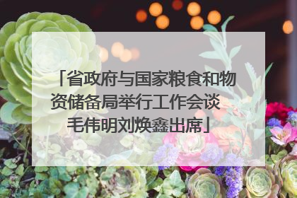 省政府与国家粮食和物资储备局举行工作会谈 毛伟明刘焕鑫出席