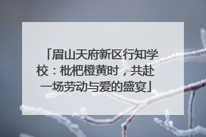 眉山天府新区行知学校：枇杷橙黄时，共赴一场劳动与爱的盛宴