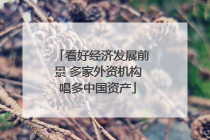 看好经济发展前景 多家外资机构唱多中国资产