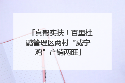 真帮实扶！百里杜鹃管理区两村“威宁鸡”产销两旺