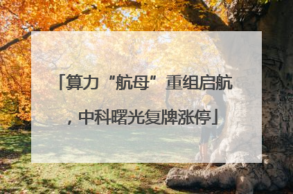 算力“航母”重组启航，中科曙光复牌涨停