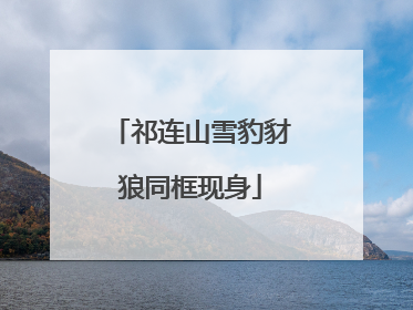 祁连山雪豹豺狼同框现身