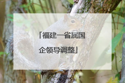 福建一省属国企领导调整