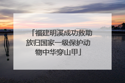 福建明溪成功救助放归国家一级保护动物中华穿山甲