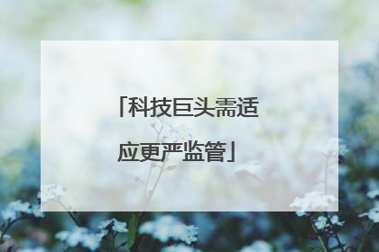 科技巨头需适应更严监管