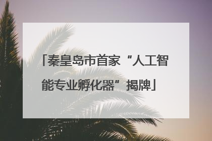 秦皇岛市首家“人工智能专业孵化器”揭牌