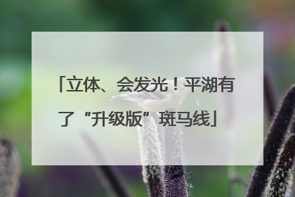 立体、会发光！平湖有了“升级版”斑马线