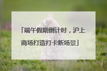 端午假期倒计时，沪上商场打造打卡新场景
