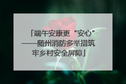 端午安康更“安心”——随州消防多举措筑牢乡村安全屏障