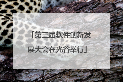 第三届软件创新发展大会在光谷举行