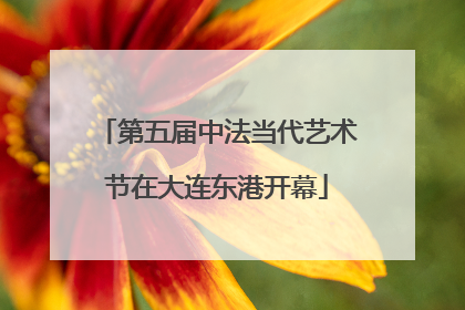 第五届中法当代艺术节在大连东港开幕