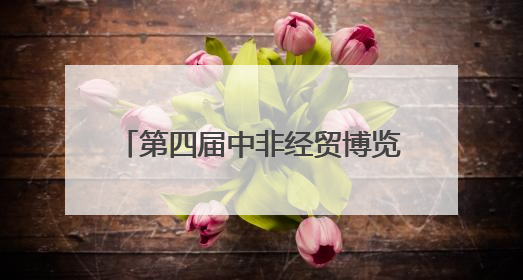第四届中非经贸博览会丨48个非洲国家、4700多家中非企业和机构将参会