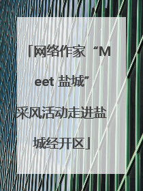网络作家“Meet 盐城”采风活动走进盐城经开区