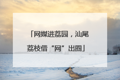 网媒进荔园，汕尾荔枝借“网”出圈