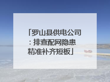 罗山县供电公司：排查配网隐患 精准补齐短板