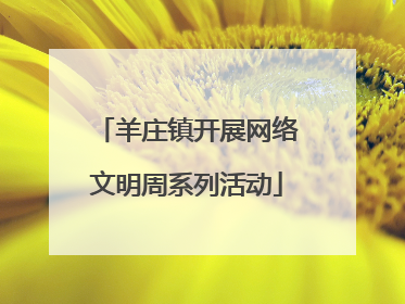 羊庄镇开展网络文明周系列活动