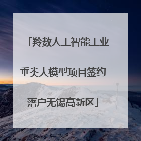羚数人工智能工业垂类大模型项目签约落户无锡高新区
