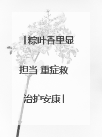 粽叶香里显担当 重症救治护安康