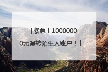 紧急！10000000元误转陌生人账户！