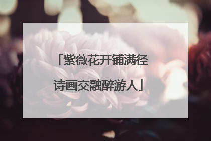 紫薇花开铺满径 诗画交融醉游人
