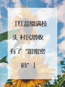 红荔缀满枝头 村民增收有了“甜蜜密码”