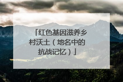 红色基因滋养乡村沃土（地名中的抗战记忆）