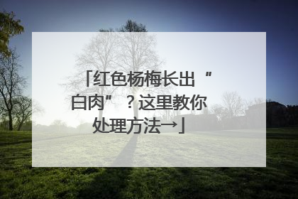 红色杨梅长出“白肉”？这里教你处理方法→