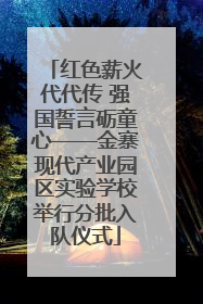 红色薪火代代传 强国誓言砺童心——金寨现代产业园区实验学校举行分批入队仪式