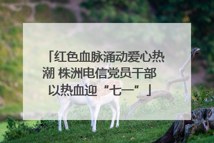 红色血脉涌动爱心热潮 株洲电信党员干部以热血迎“七一”