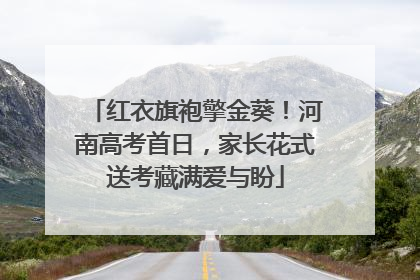 红衣旗袍擎金葵！河南高考首日，家长花式送考藏满爱与盼