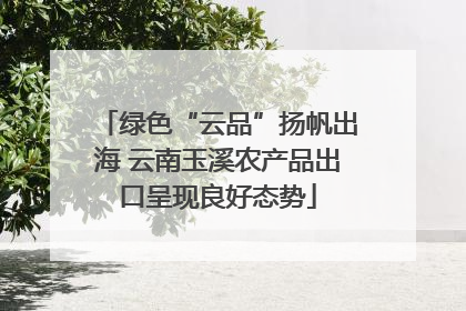 绿色“云品”扬帆出海 云南玉溪农产品出口呈现良好态势