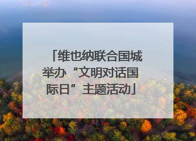 维也纳联合国城举办“文明对话国际日”主题活动