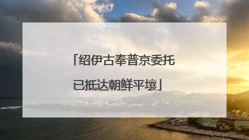 绍伊古奉普京委托已抵达朝鲜平壤