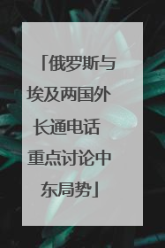 俄罗斯与埃及两国外长通电话 重点讨论中东局势