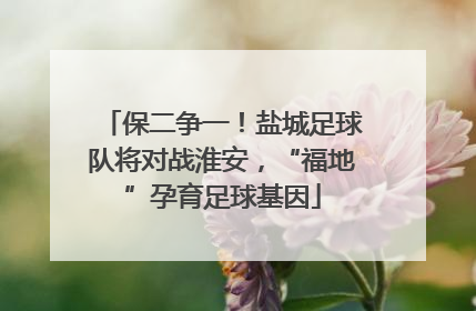 保二争一！盐城足球队将对战淮安，“福地”孕育足球基因
