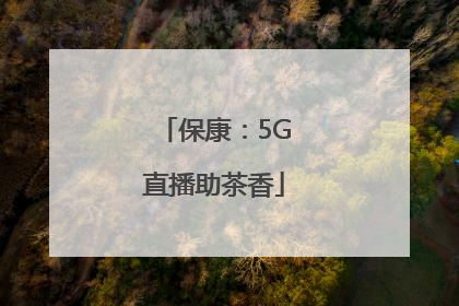 保康：5G直播助茶香