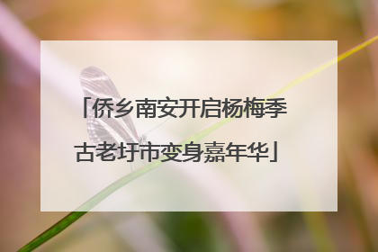侨乡南安开启杨梅季 古老圩市变身嘉年华