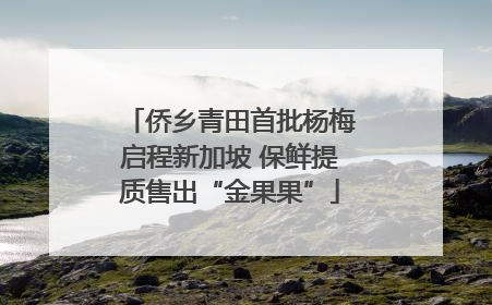 侨乡青田首批杨梅启程新加坡 保鲜提质售出“金果果”
