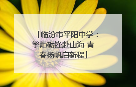 临汾市平阳中学：擎炬砺锋赴山海 青春扬帆启新程
