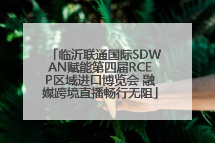 临沂联通国际SDWAN赋能第四届RCEP区域进口博览会 融媒跨境直播畅行无阻
