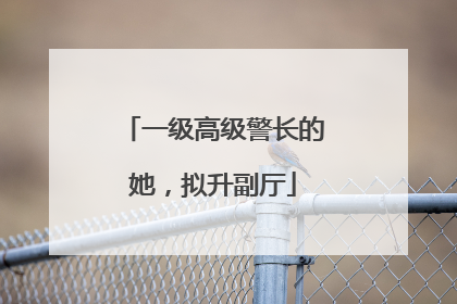 一级高级警长的她，拟升副厅