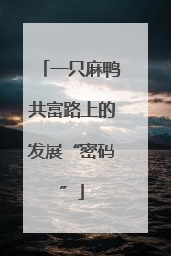 一只麻鸭共富路上的发展“密码”