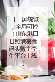 一屏统览，全局可控！山东港口日照港粮食码头数字孪生平台上线