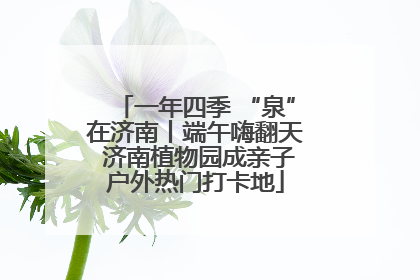 一年四季 “泉”在济南丨端午嗨翻天 济南植物园成亲子户外热门打卡地