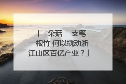 一朵菇 一支笔 一根竹 何以撬动浙江山区百亿产业？