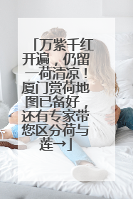 万紫千红开遍，仍留一荷清凉！厦门赏荷地图已备好，还有专家带您区分荷与莲→