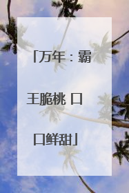 万年：霸王脆桃 口口鲜甜