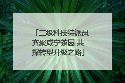三级科技特派员齐聚咸宁茶园 共探转型升级之路