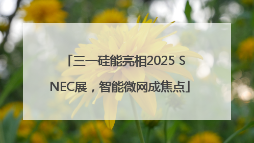 三一硅能亮相2025 SNEC展，智能微网成焦点